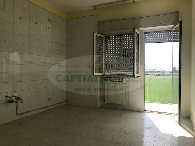 Appartamento CAPUA affitto    Realpa  S.r.l.