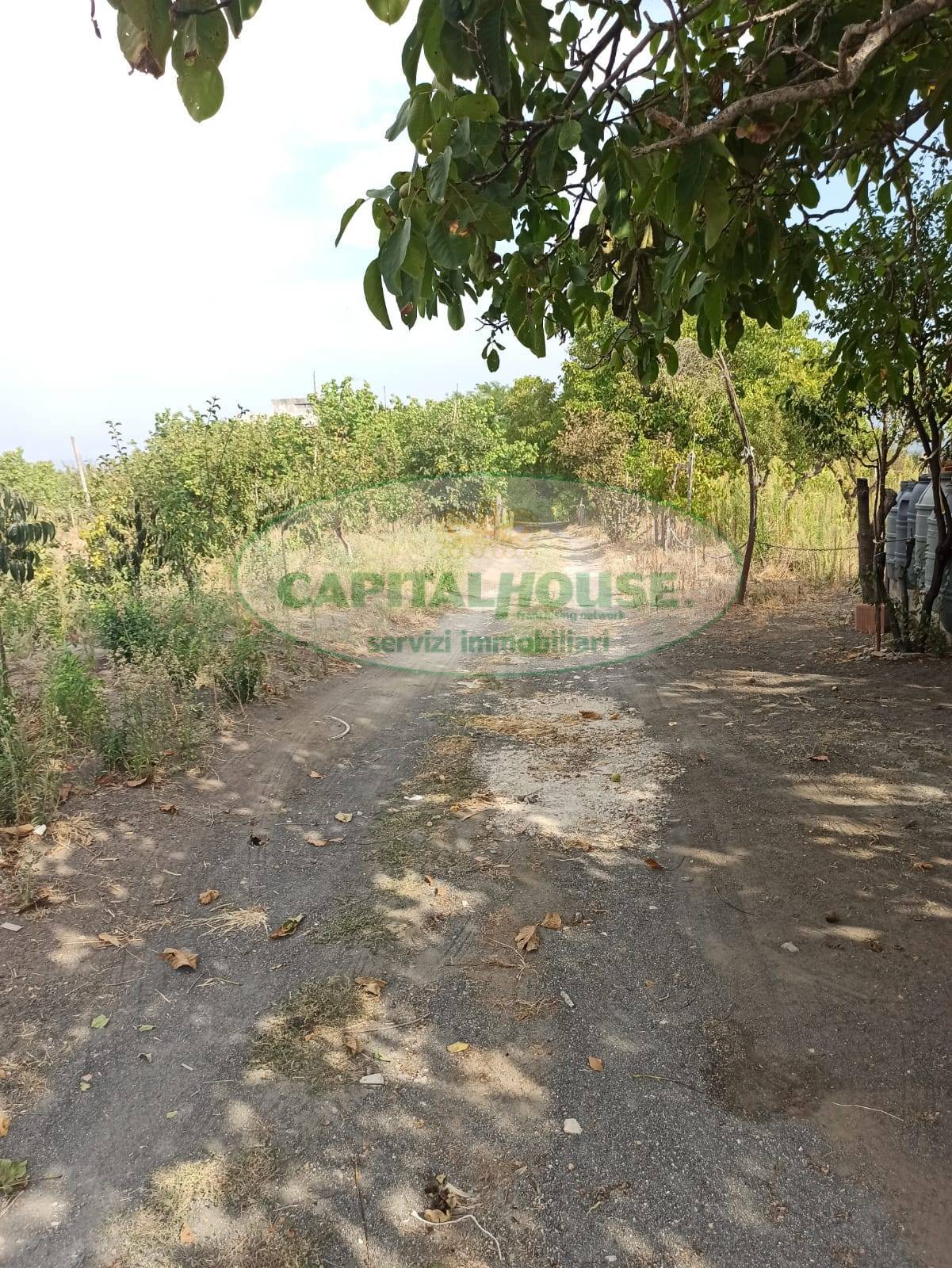 Terreno agricolo in vendita a Somma Vesuviana (NA)