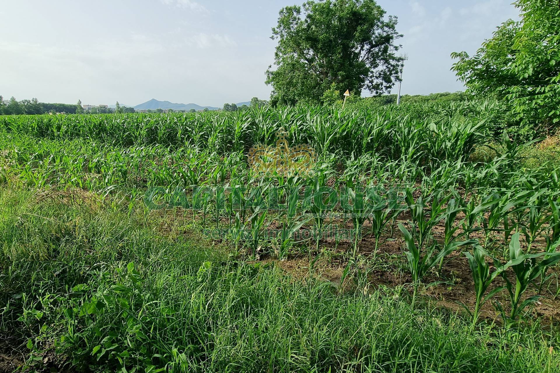 Terreno agricolo in vendita a Marcianise (CE)