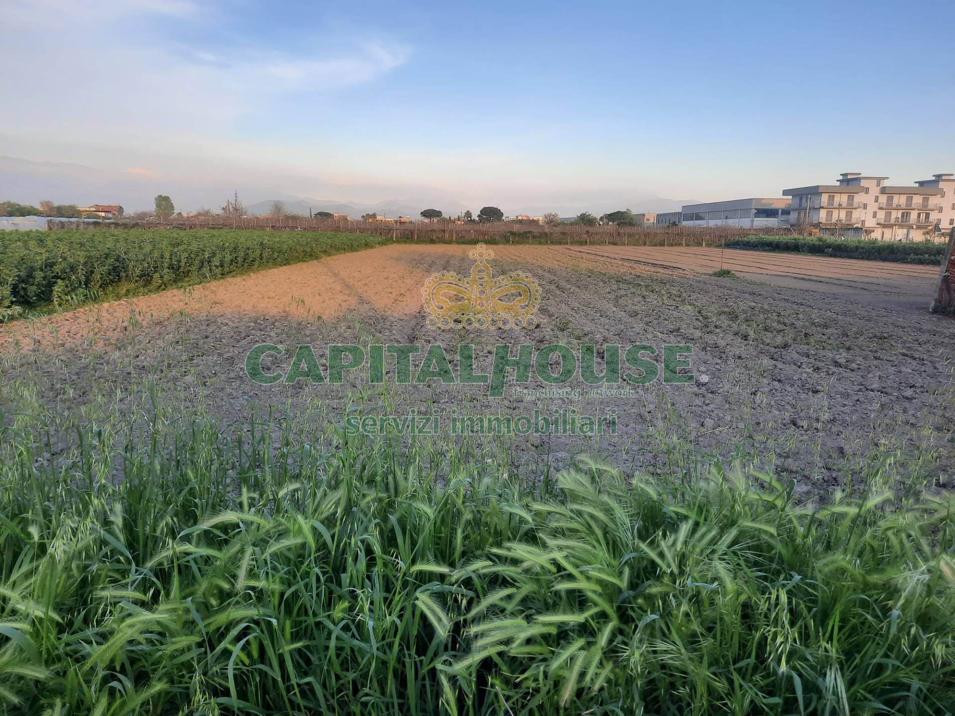Terreno agricolo in vendita a Mariglianella (NA)
