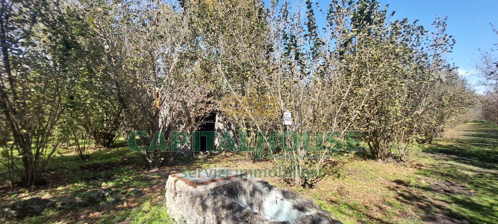 Terreno agricolo in vendita a Poggiomarino (NA)