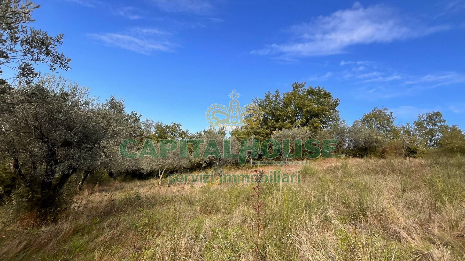 Terreno agricolo in vendita a San Nicola Manfredi (BN)