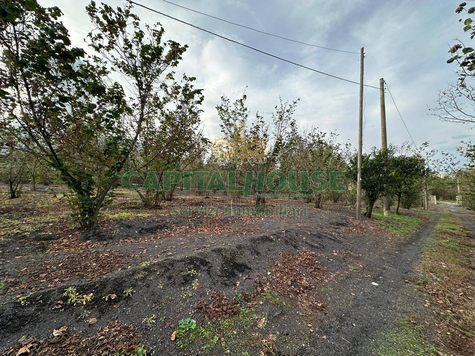 Terreno agricolo in vendita a Ottaviano (NA)