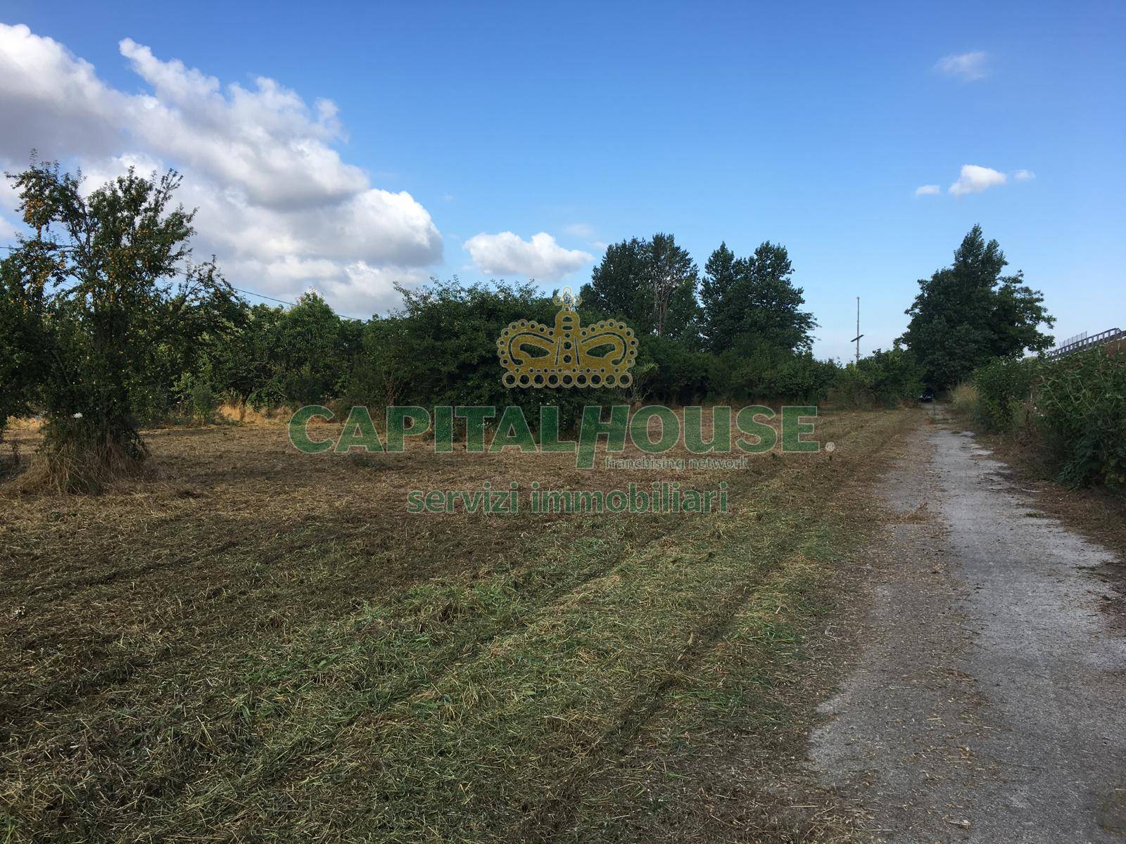 Terreno agricolo in vendita a Pomigliano D'arco (NA)