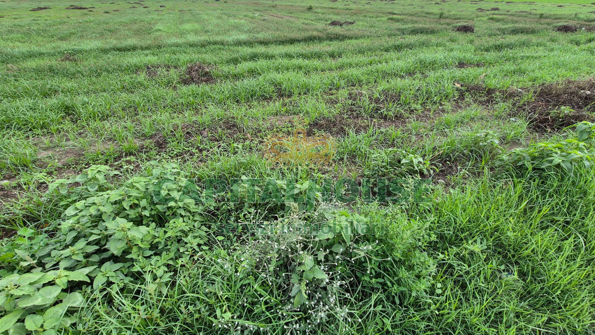 Terreno industriale in vendita a Macerata Campania (CE)