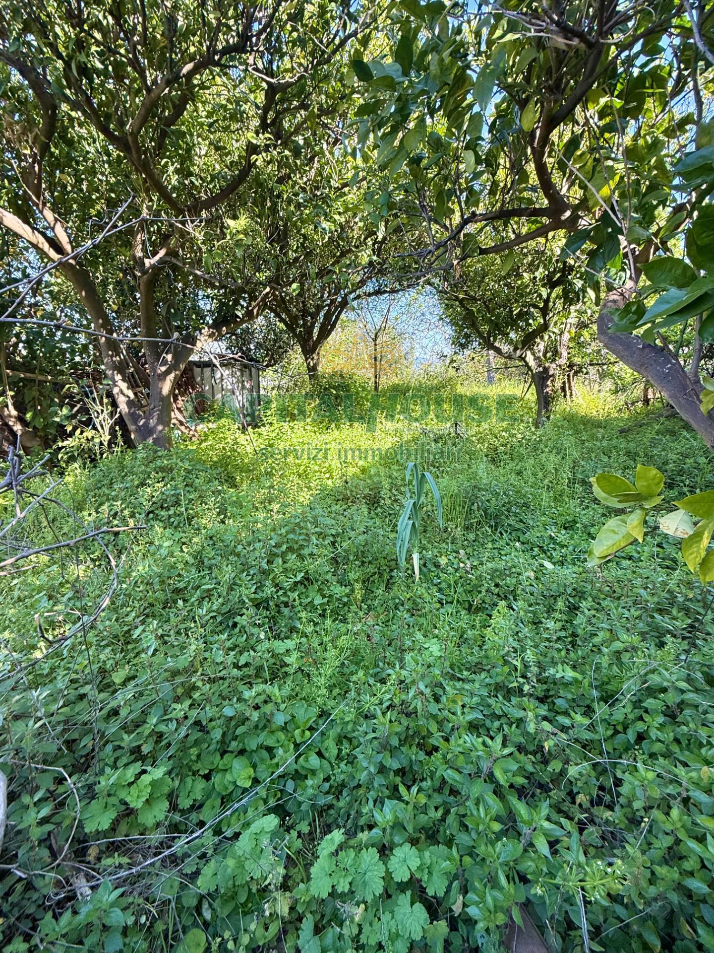 Casa indipendente in vendita a Palma Campania (NA)
