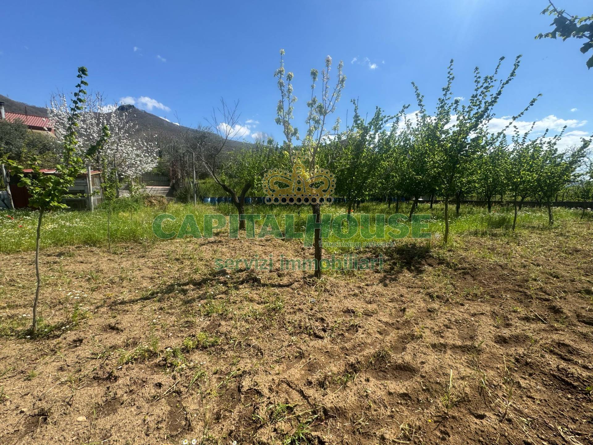 Villa in vendita a Fisciano (SA)
