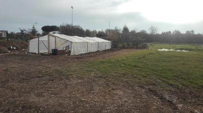 Terreno agricolo