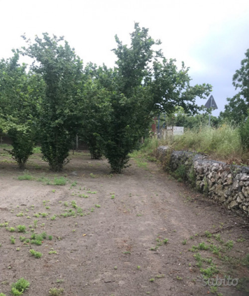 Terreno agricolo in vendita a Marigliano (NA)