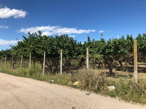 Terreno agricolo in vendita a Marigliano (NA)