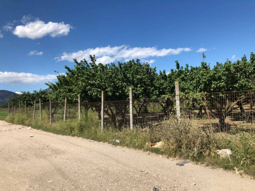 Terreno agricolo in vendita a Marigliano (NA)