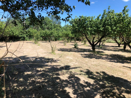 Terreno agricolo in vendita a Marigliano (NA)