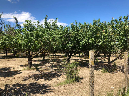 Terreno agricolo in vendita a Marigliano (NA)