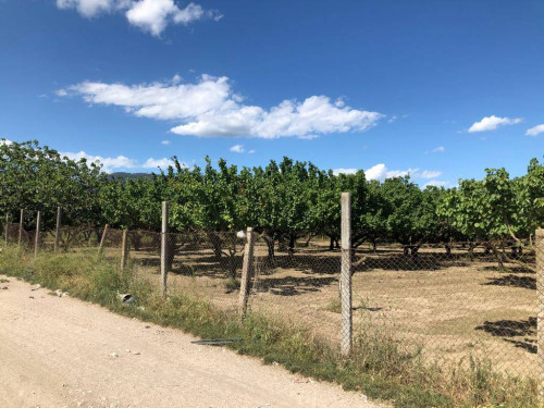 Terreno agricolo in vendita a Marigliano (NA)