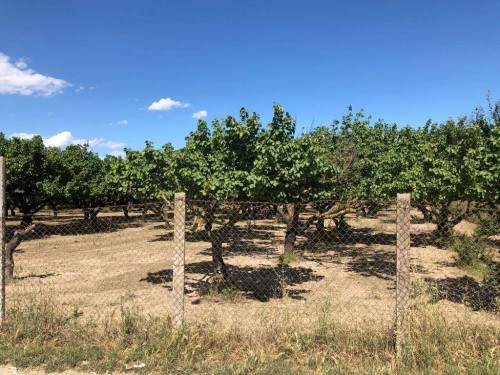 Terreno agricolo in vendita a Marigliano (NA)