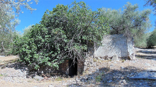 Terreno agr. terrazzato