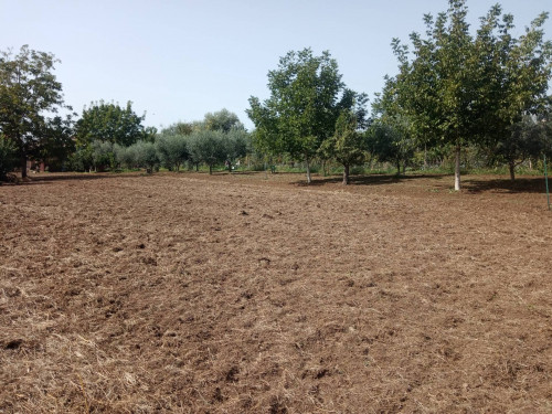 Terreno edificabile in vendita a Pastorano (CE)