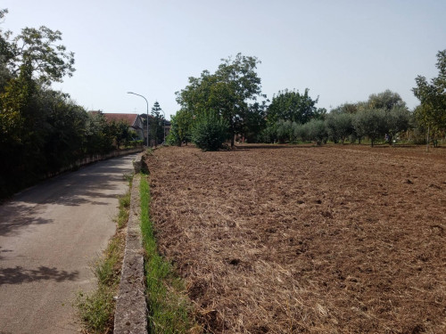 Terreno edificabile in vendita a Pastorano (CE)