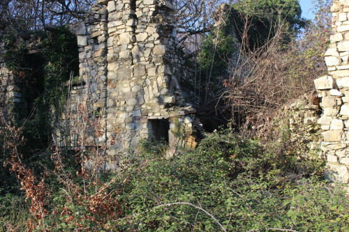 Terreno agricolo - Rudere
