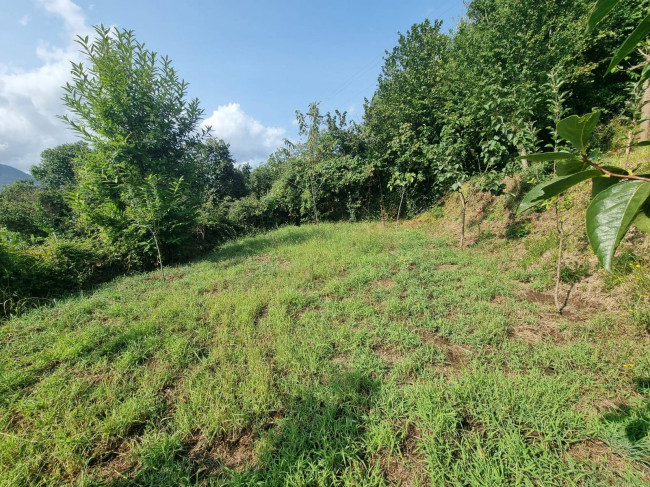 Terreno agr. terrazzato