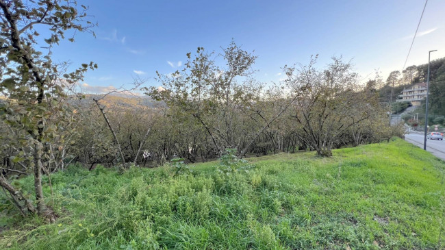 Terreno edificabile in vendita a Bellizzi Irpino, Avellino (AV)