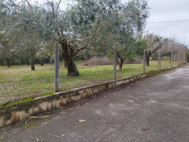 Terreno edificabile in vendita a Pignataro Maggiore (CE)