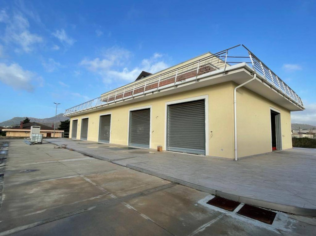 Attività commerciale