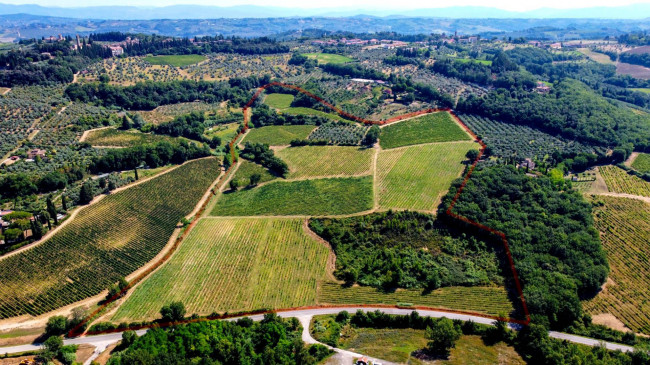 Azienda agricola in vendita a Montespertoli (FI)