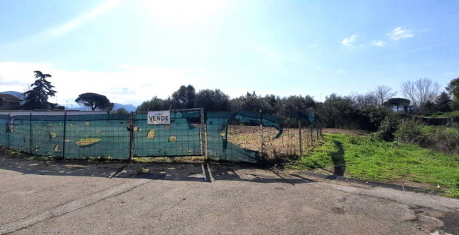 Terreno agricolo in vendita a Casolla, Caserta (CE)