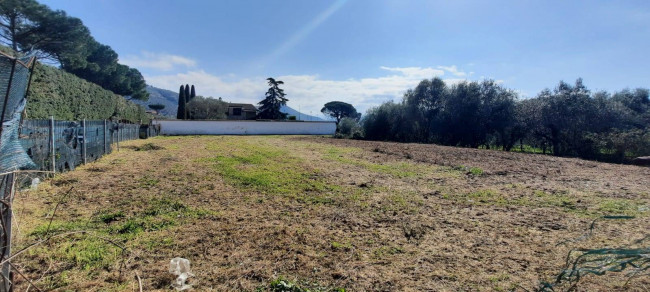 Terreno agricolo in vendita a Casolla, Caserta (CE)