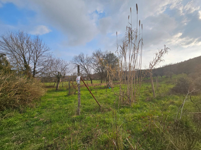 Terreno agricolo in vendita a Giano Vetusto (CE)