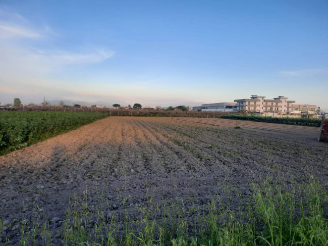 Terreno agricolo in vendita a Mariglianella (NA)