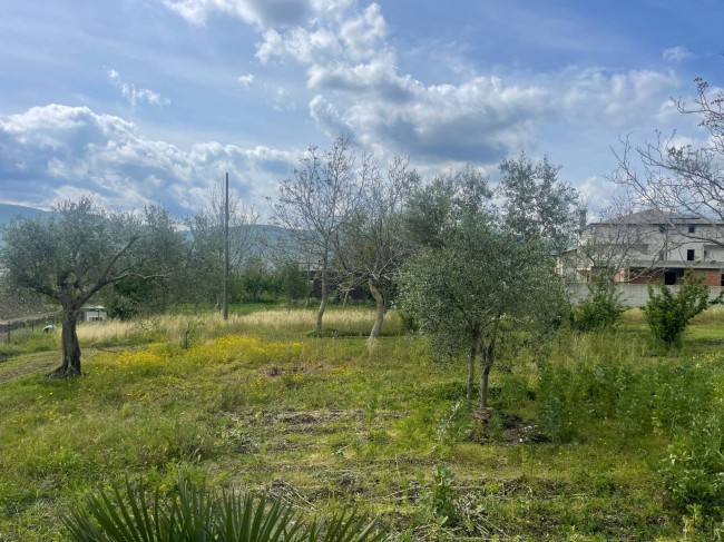 Terreno edificabile in vendita a Avella (AV)