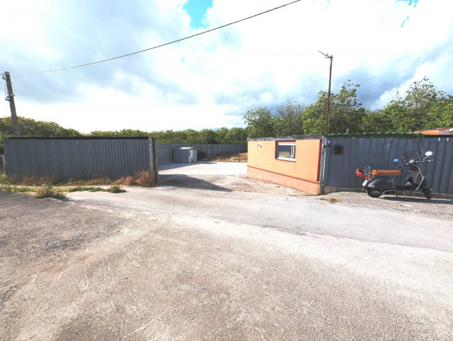 Attività commerciale