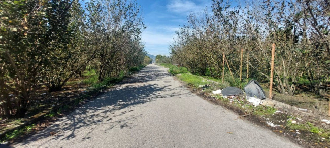 Terreno agricolo in vendita a Poggiomarino (NA)