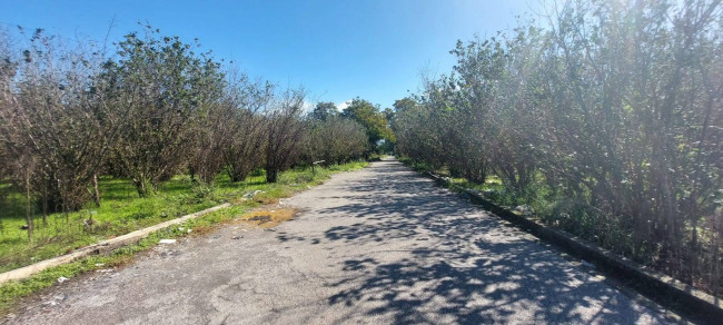 Terreno agricolo in vendita a Poggiomarino (NA)