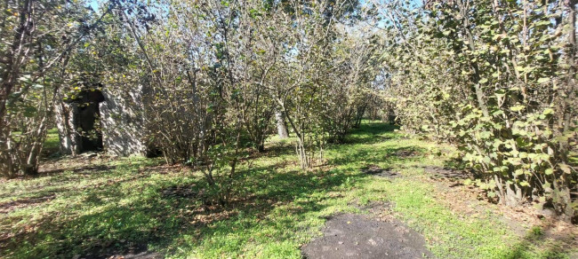 Terreno agricolo in vendita a Poggiomarino (NA)