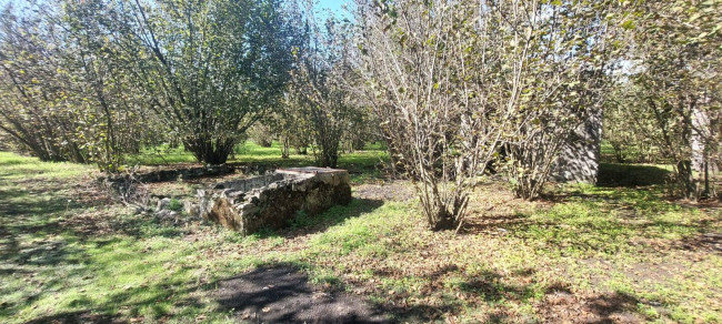 Terreno agricolo in vendita a Poggiomarino (NA)