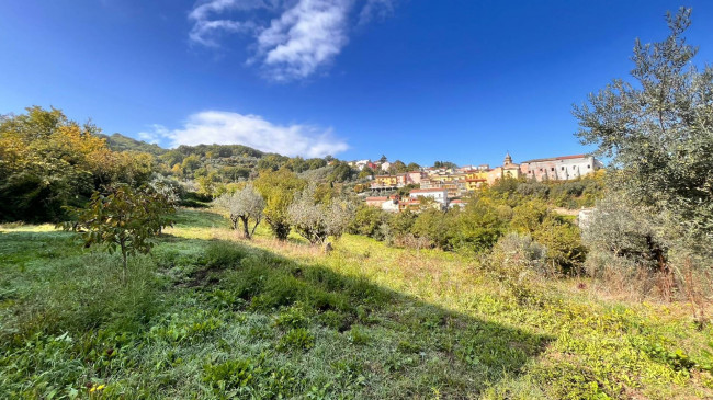 Terreno agricolo in vendita a San Nicola Manfredi (BN)