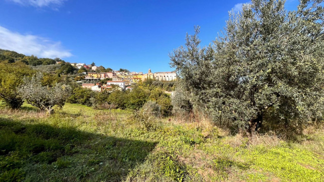 Terreno agricolo in vendita a San Nicola Manfredi (BN)