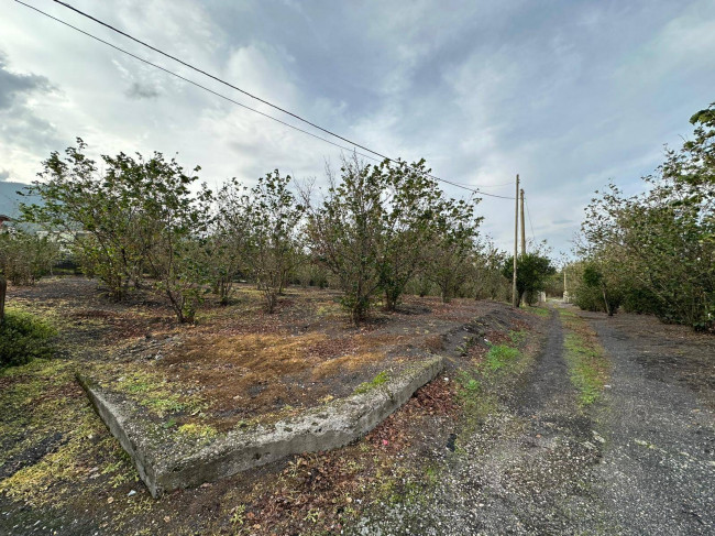 Terreno agricolo in vendita a Ottaviano (NA)