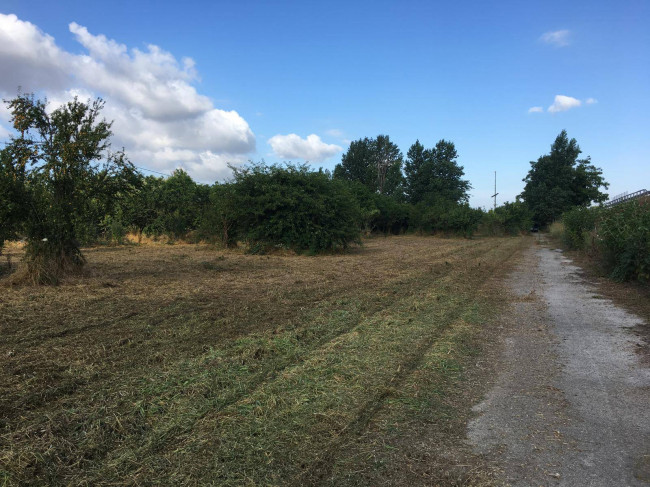 Terreno agricolo in vendita a Pomigliano D'arco (NA)