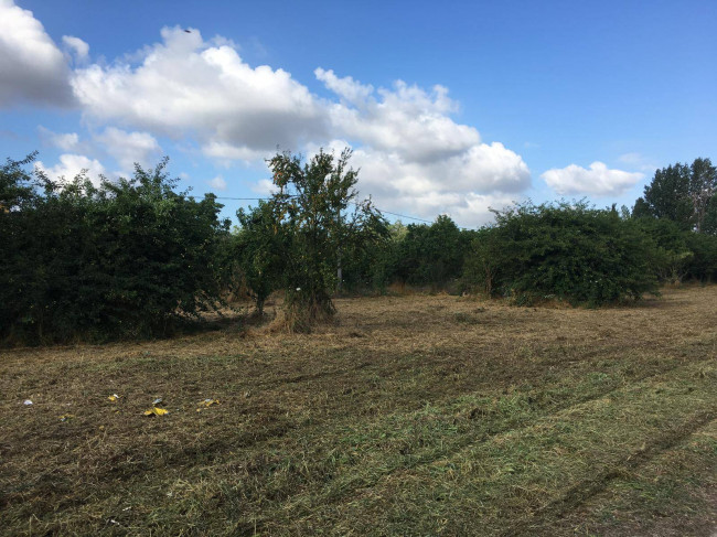 Terreno agricolo in vendita a Pomigliano D'arco (NA)