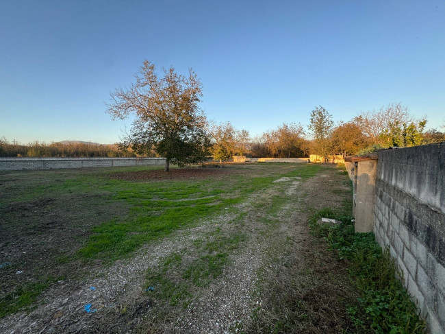 Terreno agricolo in affitto a Saviano (NA)