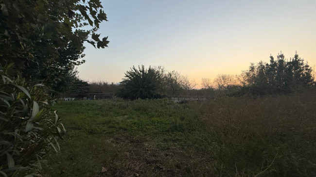 Terreno agricolo in vendita a Scisciano (NA)