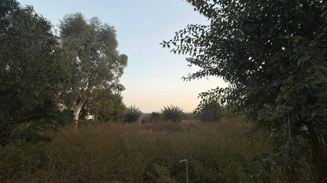 Terreno agricolo in vendita a Scisciano (NA)