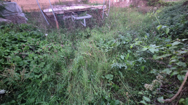 Terreno edificabile in vendita a Macerata Campania (CE)