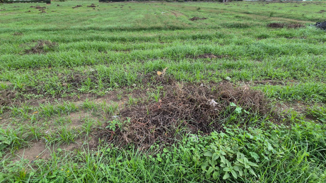 Terreno industriale in vendita a Macerata Campania (CE)