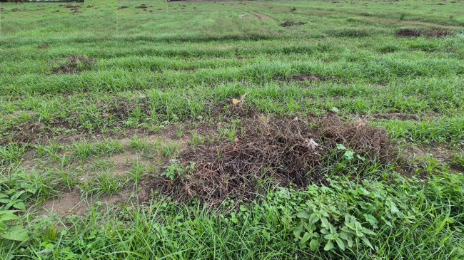 Terreno industriale in vendita a Macerata Campania (CE)