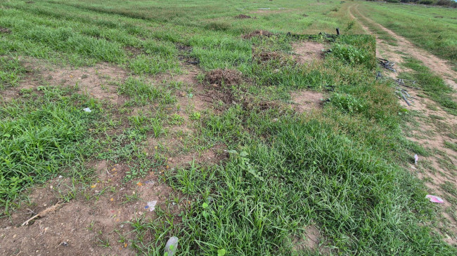 Terreno industriale in vendita a Macerata Campania (CE)